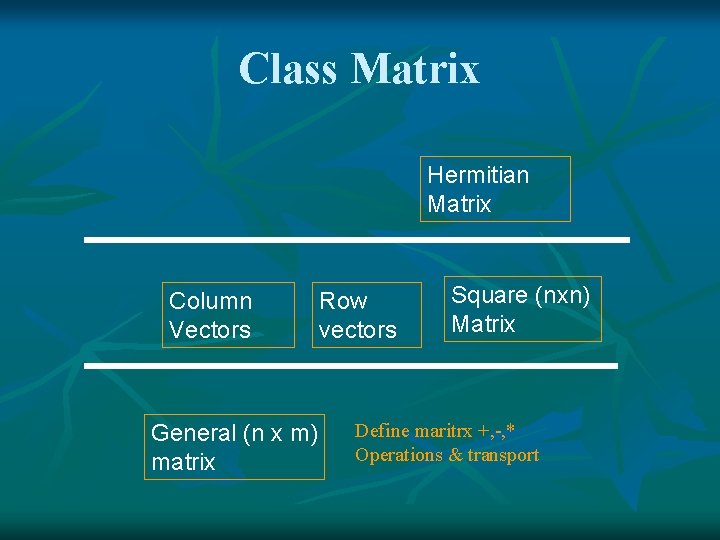 Class Matrix Hermitian Matrix Column Vectors General (n x m) matrix Row vectors Square