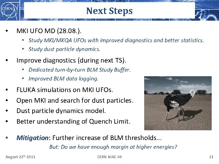 Next Steps • MKI UFO MD (28. 08. ). • Study MKI/MKQA UFOs with