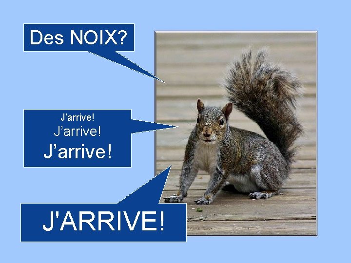 Des NOIX? J’arrive! J'ARRIVE! 