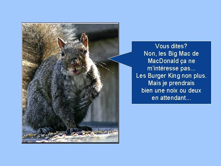 Vous dites? Non, les Big Mac de Mac. Donald ça ne m’intéresse pas. .