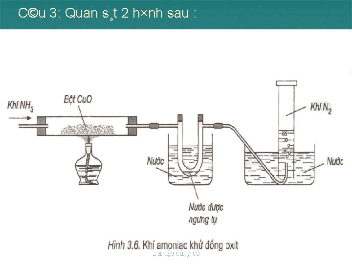 C©u 3: Quan s¸t 2 h×nh sau : Bài tập củng cố 