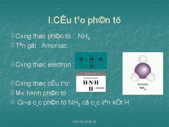 I. CÊu t¹o ph©n tö C «ng thøc ph©n tö : NH 3 Tªn