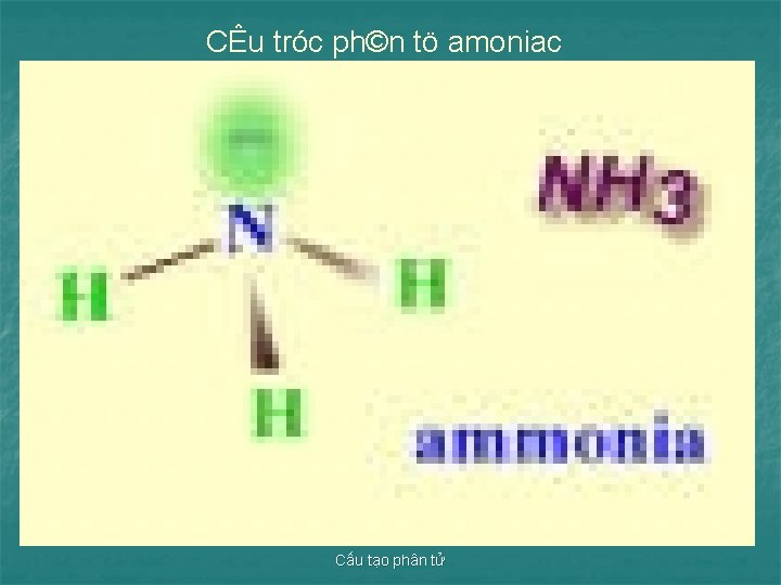 CÊu tróc ph©n tö amoniac Cấu tạo phân tử 