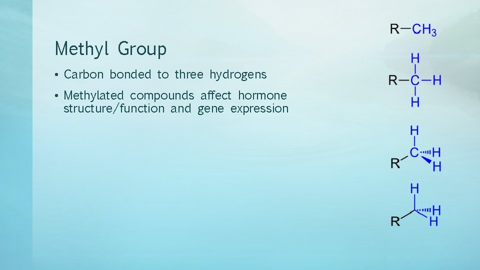 Methyl Group • Carbon bonded to three hydrogens • Methylated compounds affect hormone structure/function