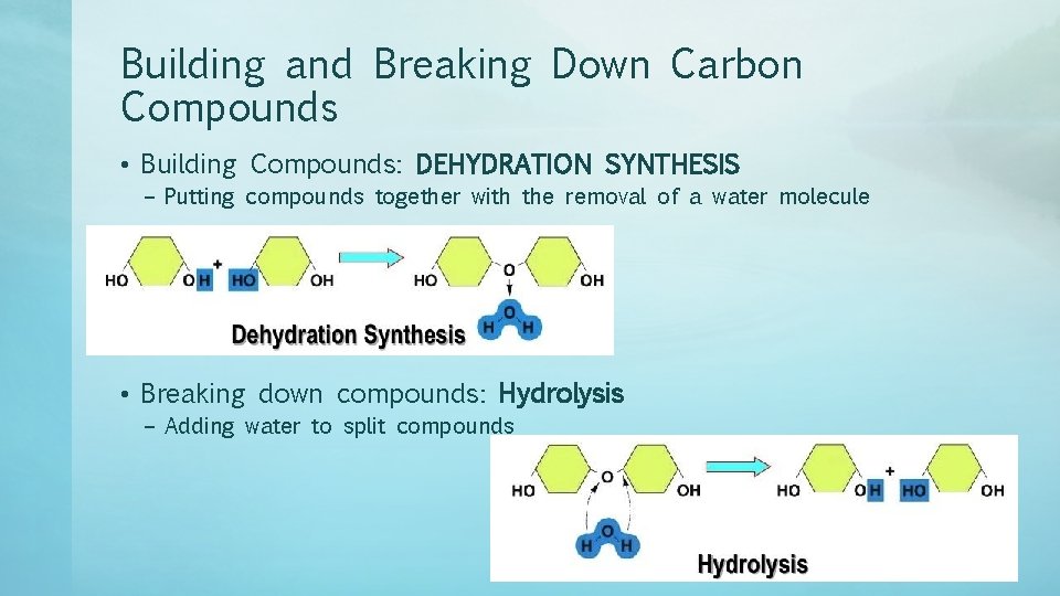 Building and Breaking Down Carbon Compounds • Building Compounds: DEHYDRATION SYNTHESIS – Putting compounds