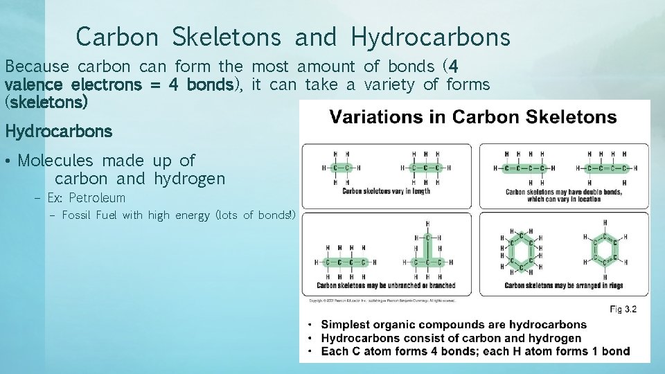 Carbon Skeletons and Hydrocarbons Because carbon can form the most amount of bonds (4