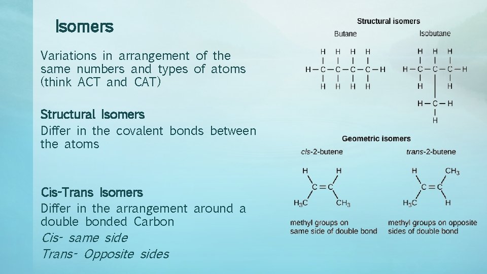 Isomers Variations in arrangement of the same numbers and types of atoms (think ACT