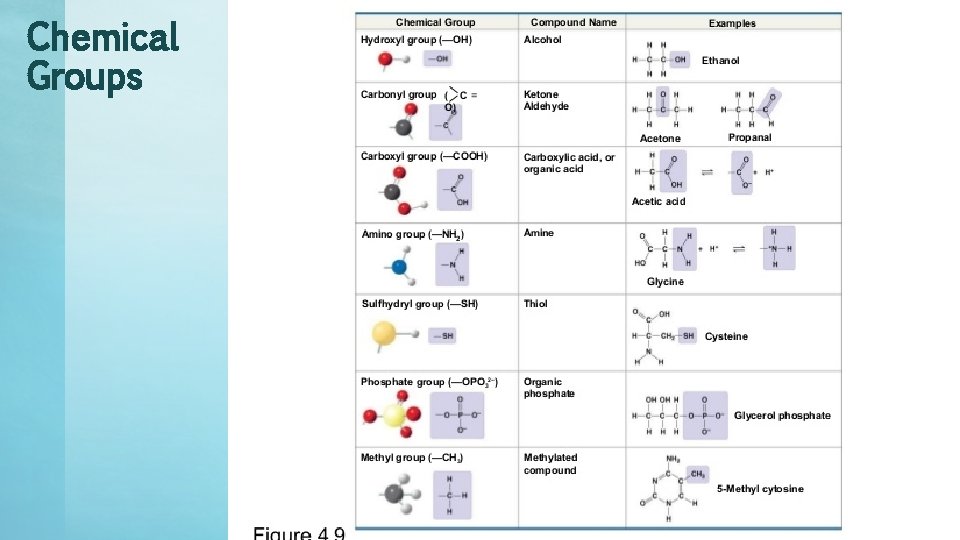 Chemical Groups 