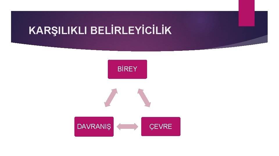 KARŞILIKLI BELİRLEYİCİLİK BİREY DAVRANIŞ ÇEVRE 