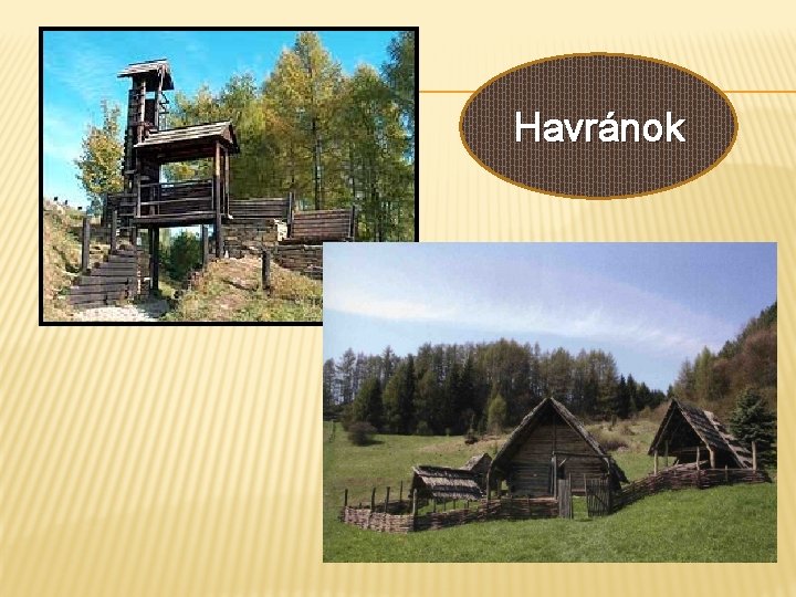 Havránok 