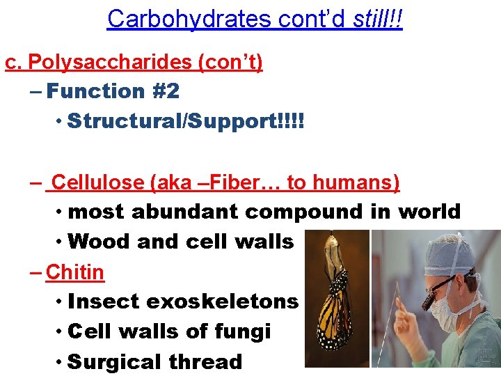 Carbohydrates cont’d still!! c. Polysaccharides (con’t) – Function #2 • Structural/Support!!!! – Cellulose (aka