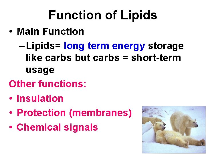 Function of Lipids • Main Function – Lipids= long term energy storage like carbs