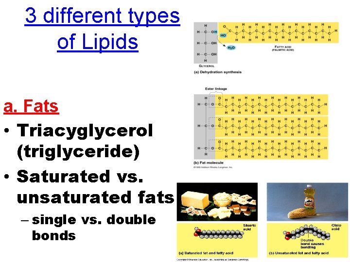 3 different types of Lipids a. Fats • Triacyglycerol (triglyceride) • Saturated vs. unsaturated