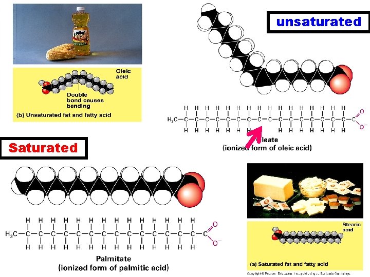 unsaturated Saturated 