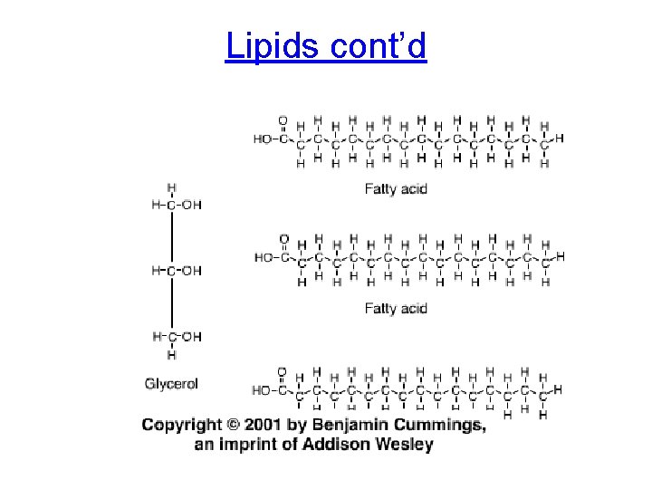 Lipids cont’d 