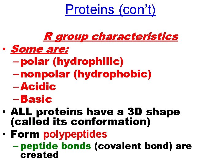 Proteins (con’t) R group characteristics • Some are: – polar (hydrophilic) – nonpolar (hydrophobic)