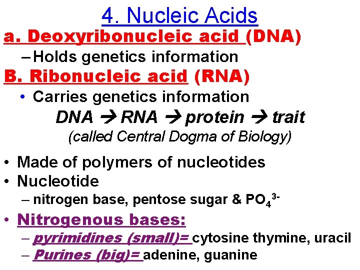 4. Nucleic Acids a. Deoxyribonucleic acid (DNA) – Holds genetics information B. Ribonucleic acid