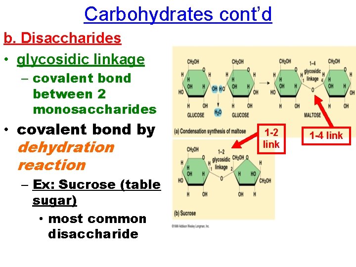 Carbohydrates cont’d b. Disaccharides • glycosidic linkage – covalent bond between 2 monosaccharides •