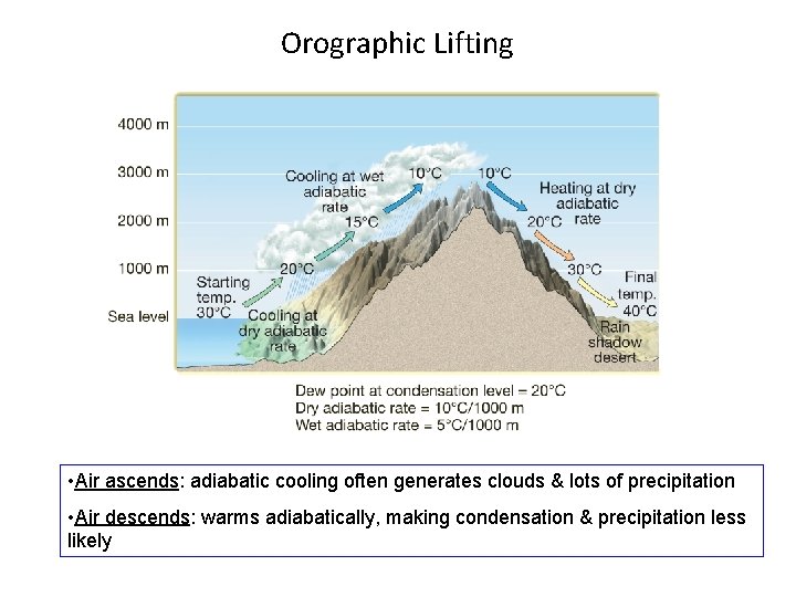 Orographic Lifting • Air ascends: adiabatic cooling often generates clouds & lots of precipitation