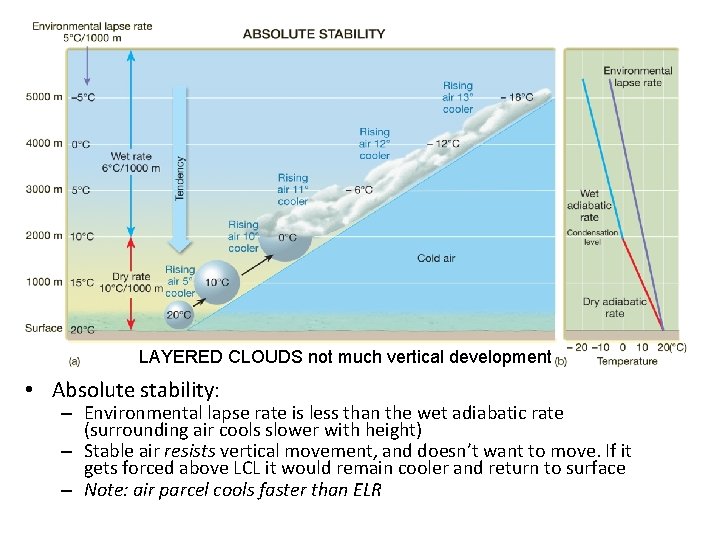 LAYERED CLOUDS not much vertical development • Absolute stability: – Environmental lapse rate is