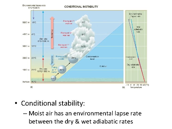  • Conditional stability: – Moist air has an environmental lapse rate between the