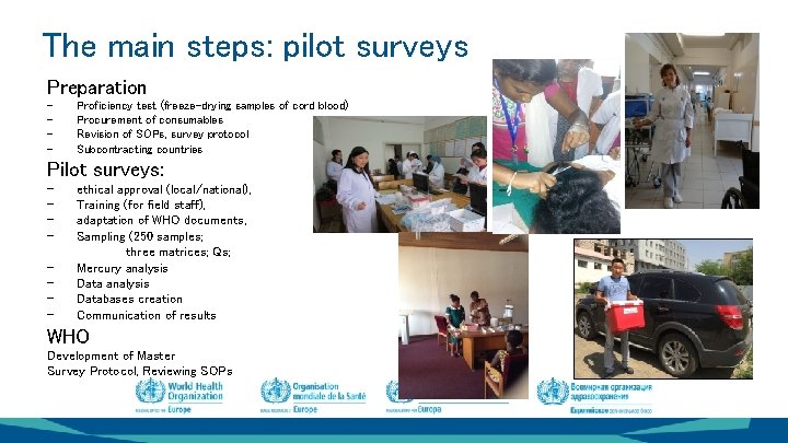 The main steps: pilot surveys Preparation - Proficiency test (freeze-drying samples of cord blood) The main steps: pilot surveys Preparation - Proficiency test (freeze-drying samples of cord blood)