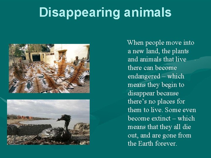 Disappearing animals When people move into a new land, the plants and animals that