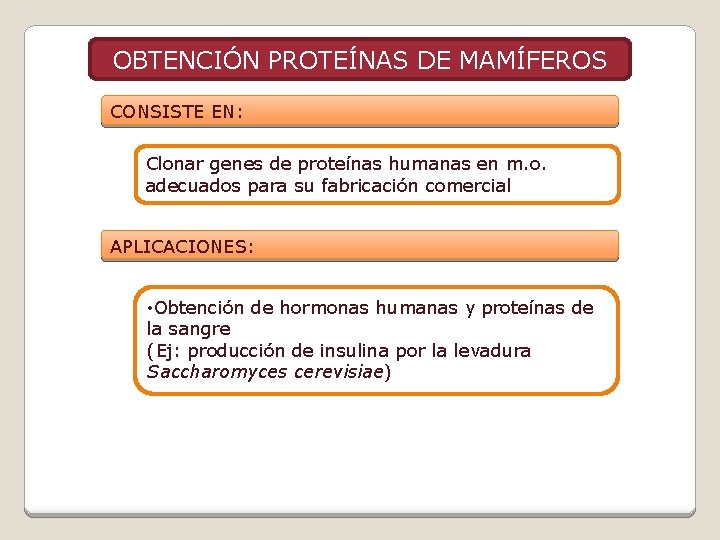 OBTENCIÓN PROTEÍNAS DE MAMÍFEROS CONSISTE EN: Clonar genes de proteínas humanas en m. o.