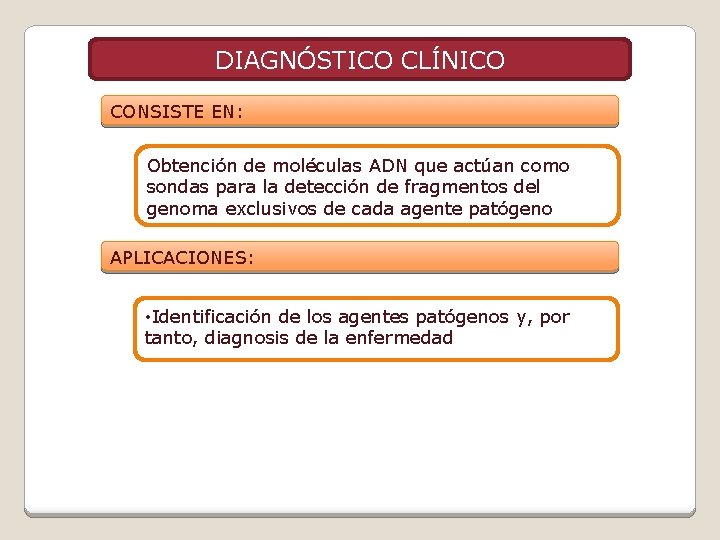 DIAGNÓSTICO CLÍNICO CONSISTE EN: Obtención de moléculas ADN que actúan como sondas para la