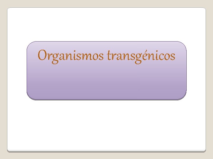 Organismos transgénicos 