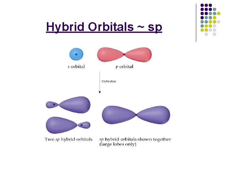 Hybrid Orbitals ~ sp 