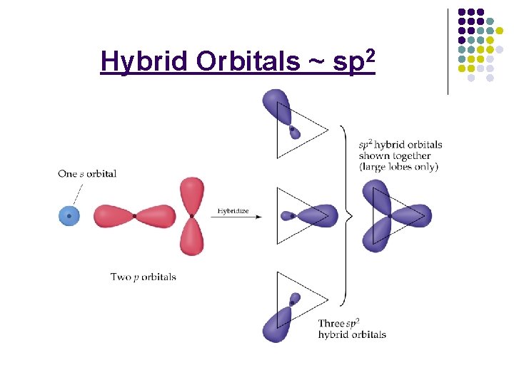Hybrid Orbitals ~ sp 2 