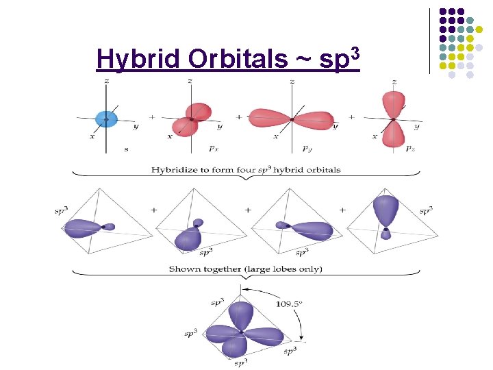Hybrid Orbitals ~ sp 3 
