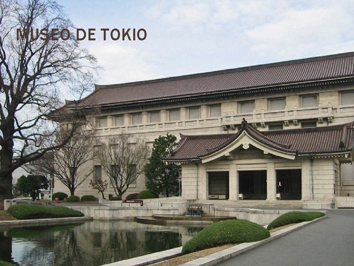 MUSEO DE TOKIO 