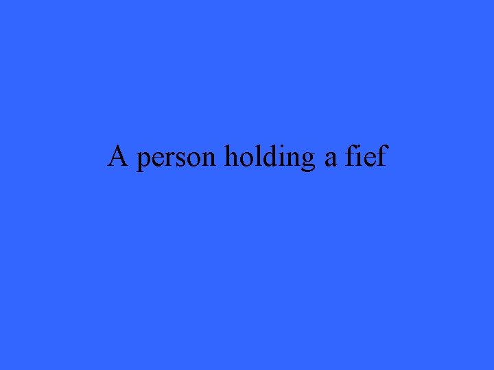A person holding a fief 