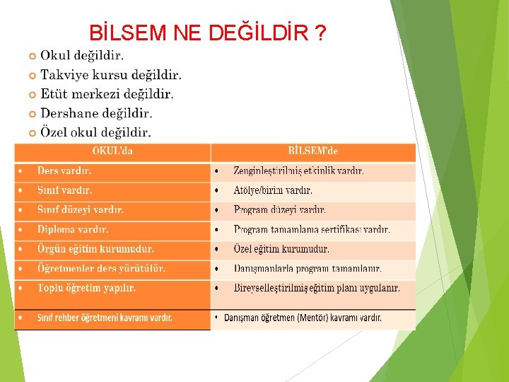 BİLSEM NE DEĞİLDİR ? 