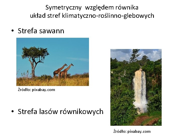 Symetryczny względem równika układ stref klimatyczno-roślinno-glebowych • Strefa sawann Źródło: pixabay. com • Strefa