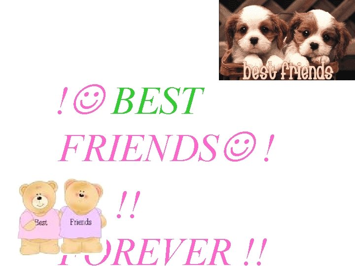 ! BEST FRIENDS ! !! FOREVER !! 