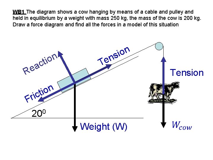WB 1 The diagram shows a cow hanging by means of a cable and