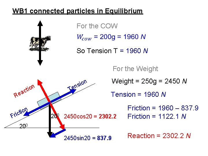 WB 1 connected particles in Equilibrium For the COW So Tension T = 1960