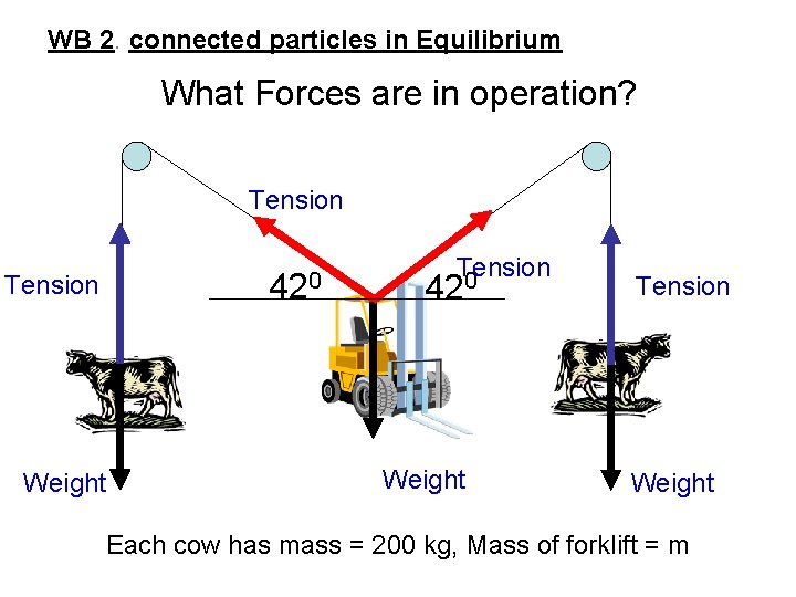 WB 2. connected particles in Equilibrium What Forces are in operation? Tension 420 Tension