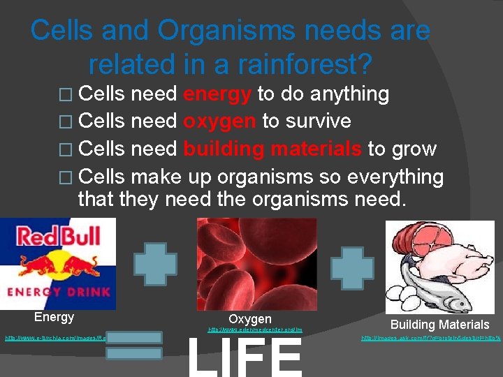 Cells and Organisms needs are related in a rainforest? � Cells need energy to