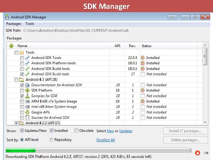SDK Manager 