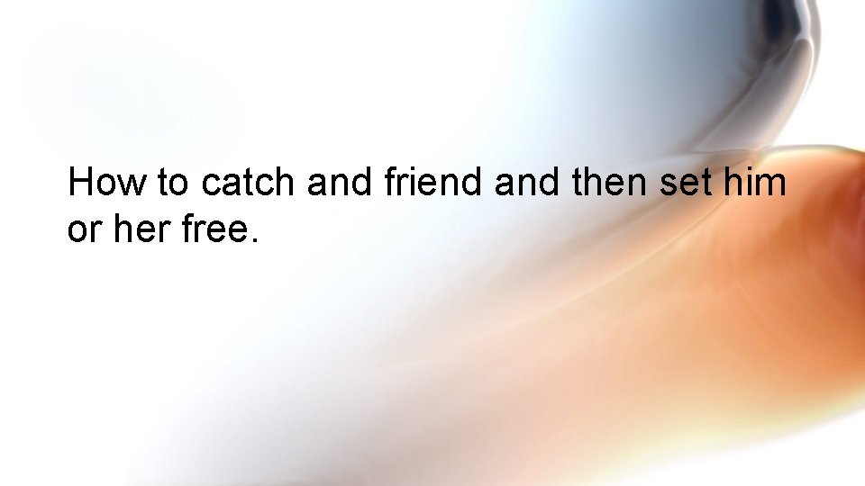 How to catch and friend and then set him or her free. 