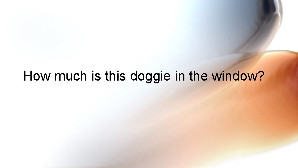 How much is this doggie in the window? 