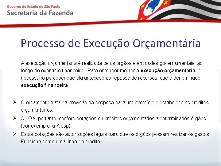 Processo de Execução Orçamentária A execução orçamentária é realizada pelos órgãos e entidades governamentais,