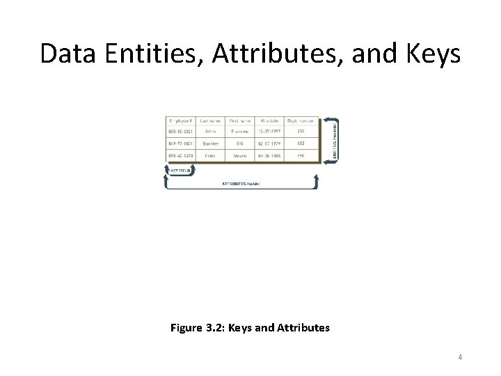 Data Entities, Attributes, and Keys Figure 3. 2: Keys and Attributes 4 Data Entities, Attributes, and Keys Figure 3. 2: Keys and Attributes 4