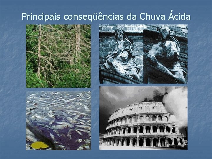 Principais conseqüências da Chuva Ácida 