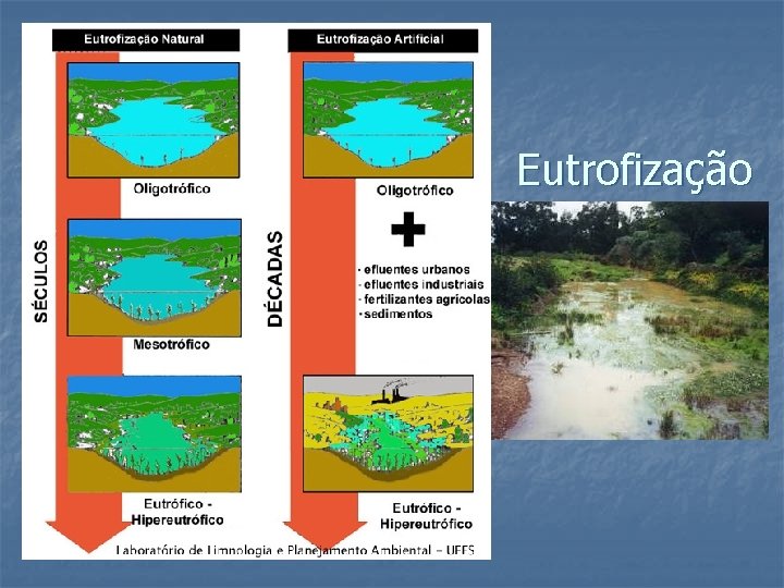 Eutrofização 