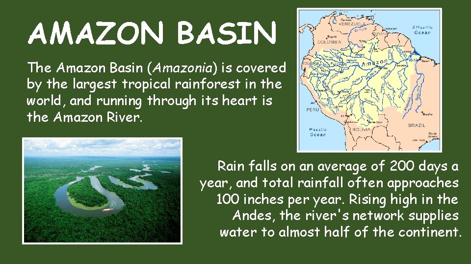 AMAZON BASIN The Amazon Basin (Amazonia) is covered by the largest tropical rainforest in AMAZON BASIN The Amazon Basin (Amazonia) is covered by the largest tropical rainforest in